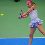 Veliki planovi na Malom Kalemegdanu: Ko ostaje, a ko dolazi u Crvenu zvezdu na leto?